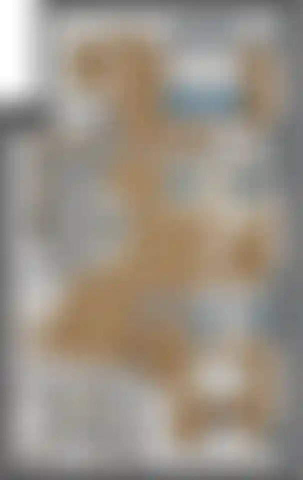 Изображение карточки лота