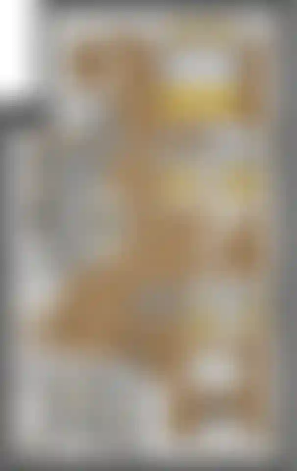 Изображение карточки лота