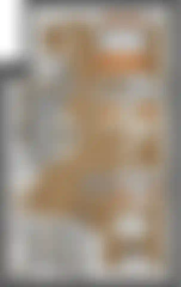 Изображение карточки лота