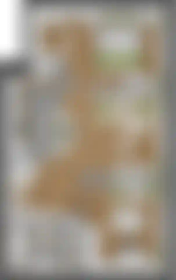 Изображение карточки лота