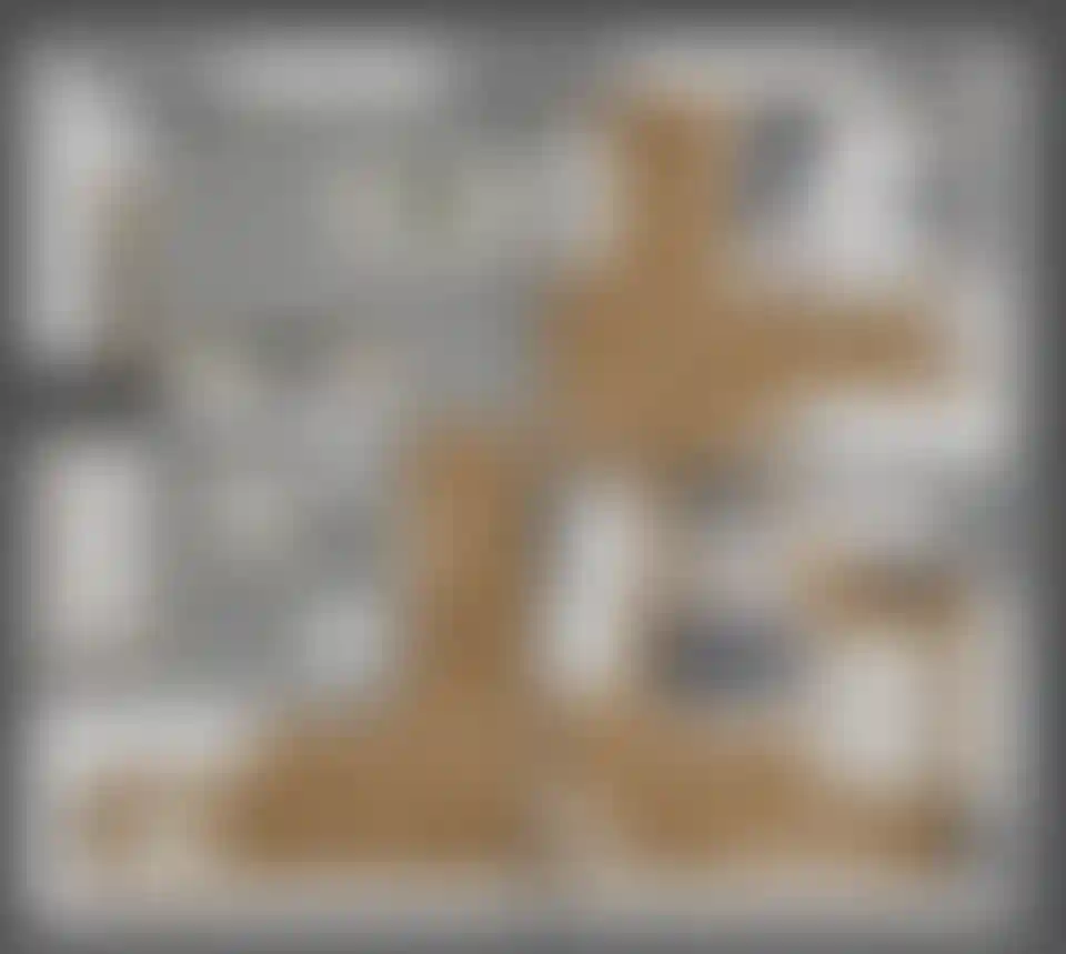 Изображение карточки лота