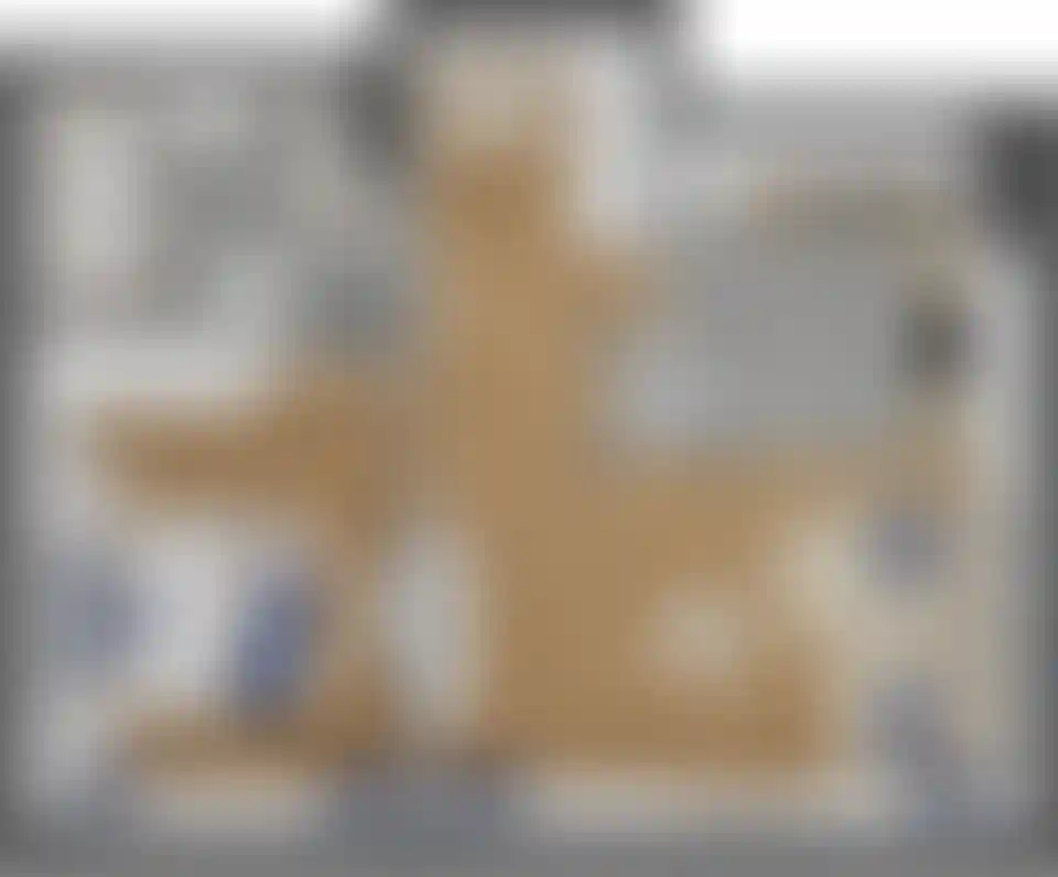 Изображение карточки лота