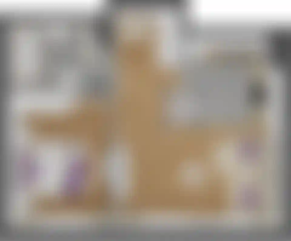 Изображение карточки лота