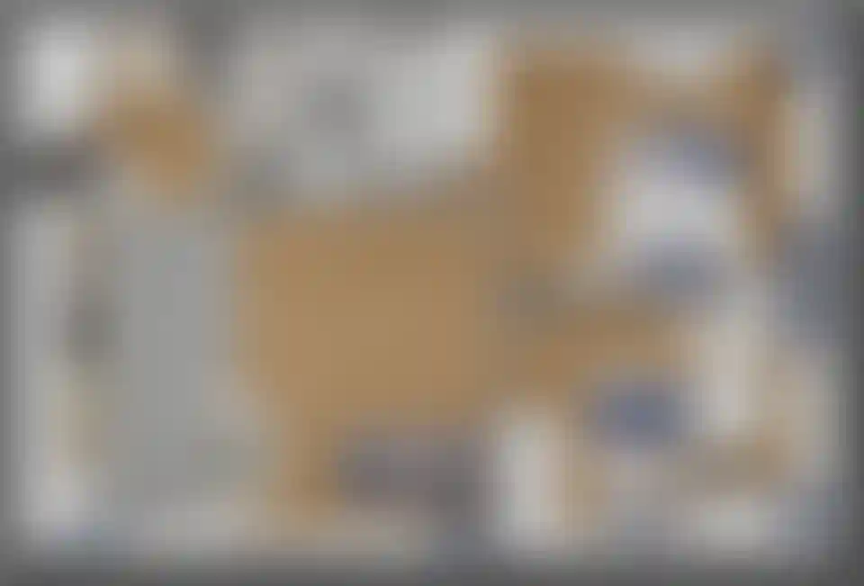 Изображение карточки лота