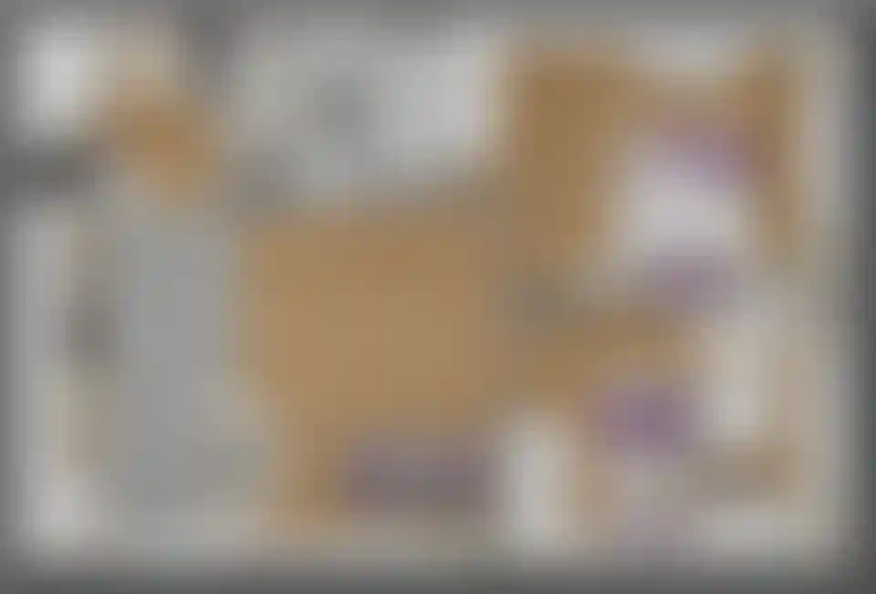 Изображение карточки лота