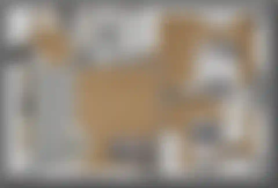 Изображение карточки лота