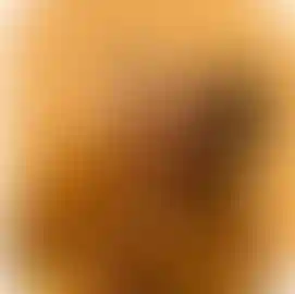 Вы ждёте малыша и хотите купить квартиру по программе «Семейная ипотека»