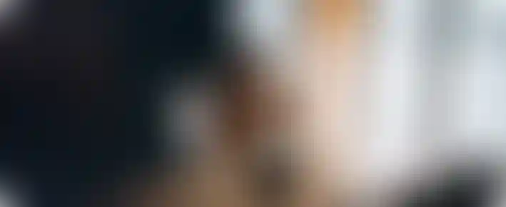 Сотрудничество со СМИ