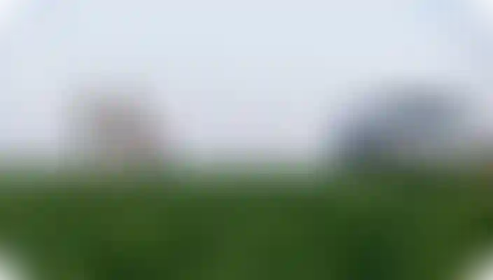 Трейд-ин Авто / Продайте авто — купите квартиру