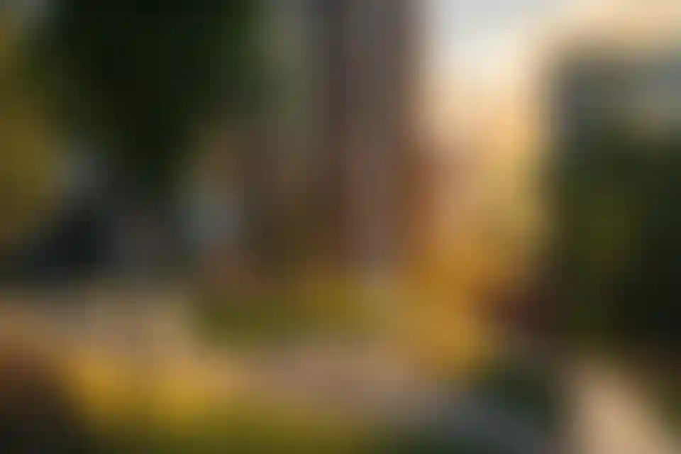 5 номинаций