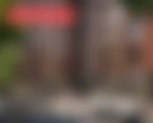 Изображение галереи