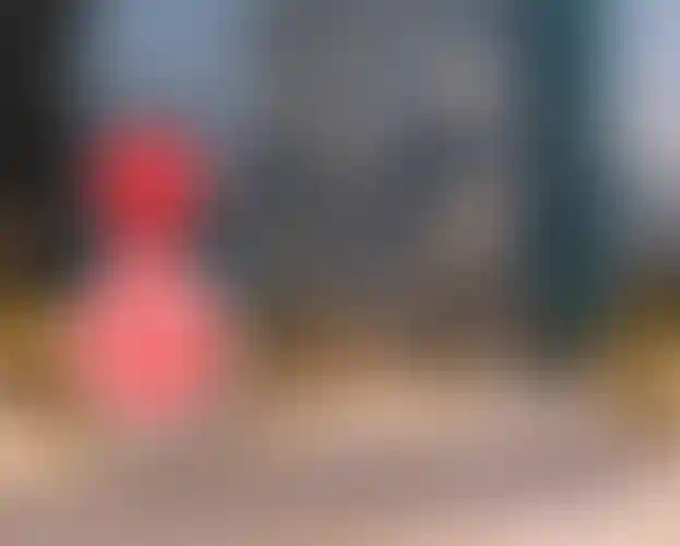 Изображение галереи