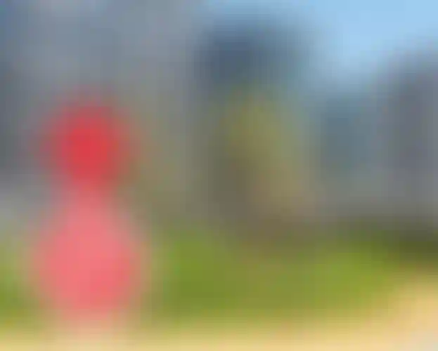 Изображение галереи