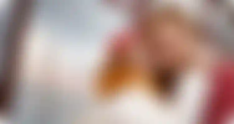 Ипотечный сервис А101 «Одобрено!»