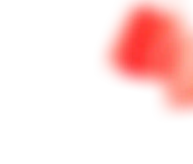 Магазин франшиз