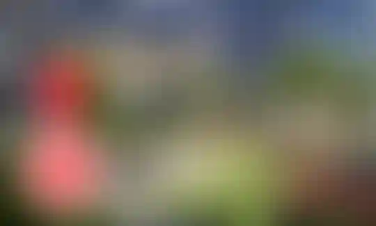 Повышение цен на квартиры с 1 ноября