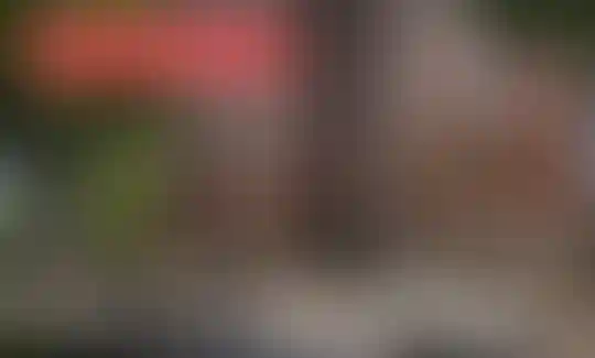 Масштабируйте бизнес с субсидированной ипотекой на «коммерцию»