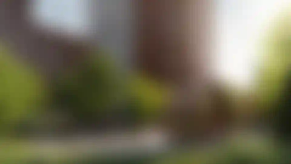 Изображение галереи