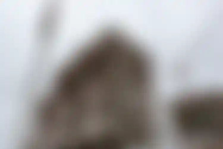 Изображение галереи