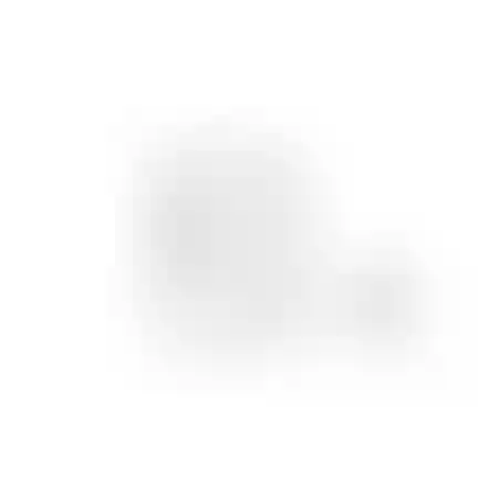 Изображение карточки лота