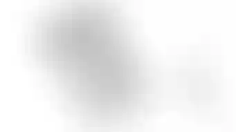 Изображение карточки лота