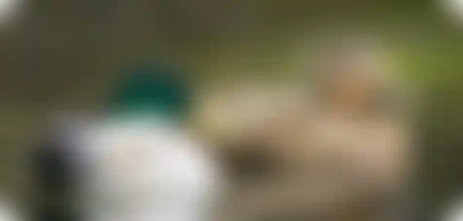 Природное окружение