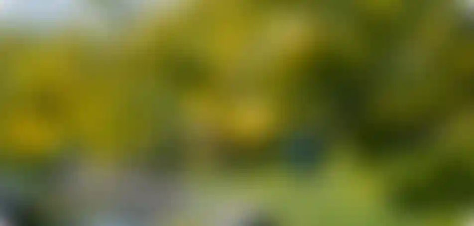 Экология и природное окружение