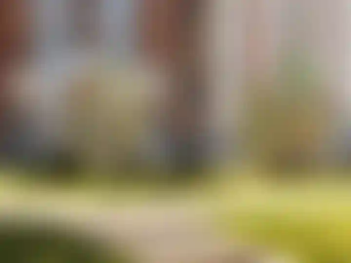 Развитая инфраструктура