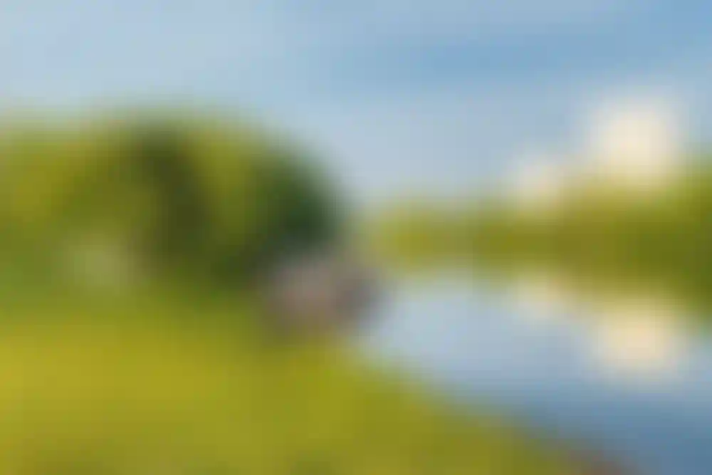 Экология и природное окружение