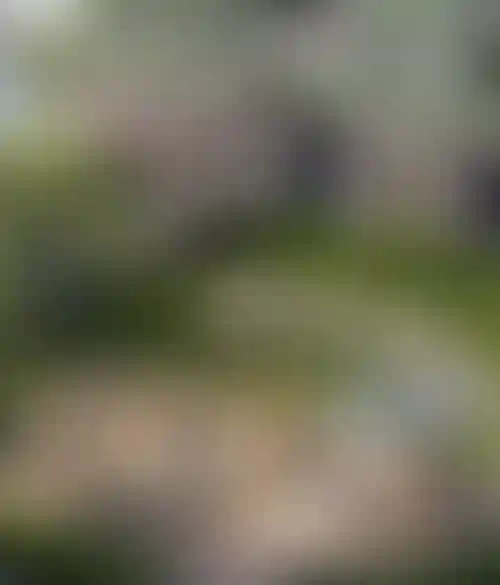 Продуманное благоустройство