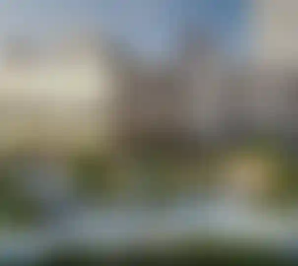 Школы и детские сады