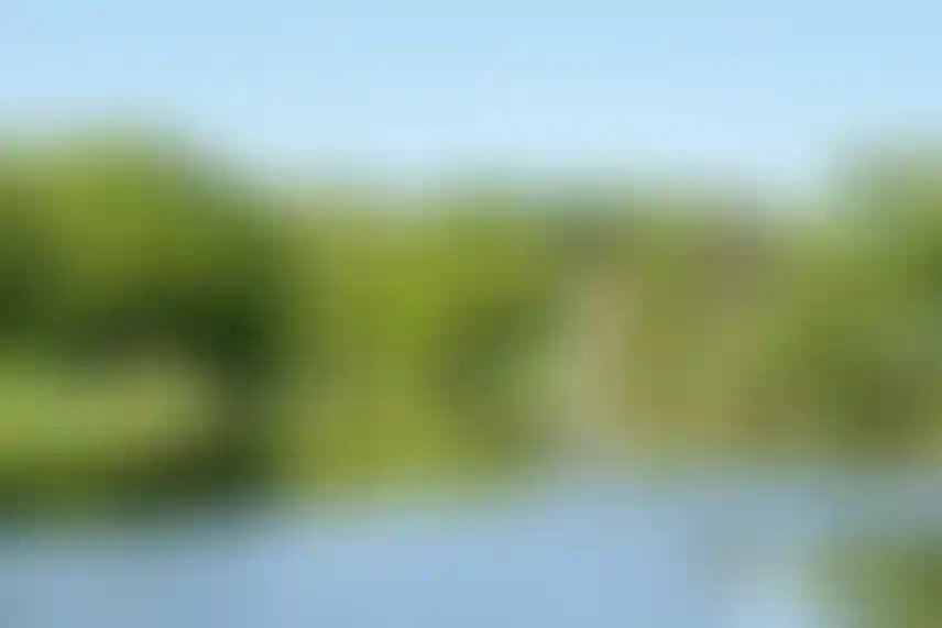 Экология и природное окружение