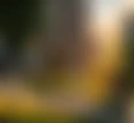 Продуманное благоустройство