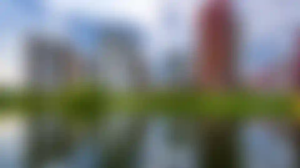 Экология и природное окружение