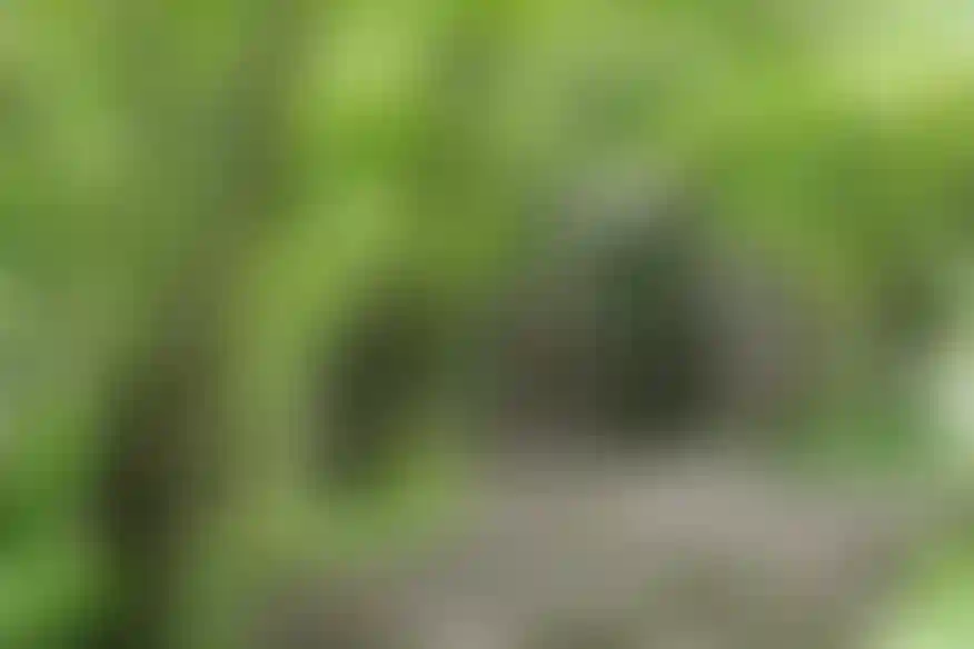 Экология и природное окружение