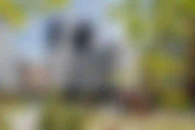 Продуманное благоустройство