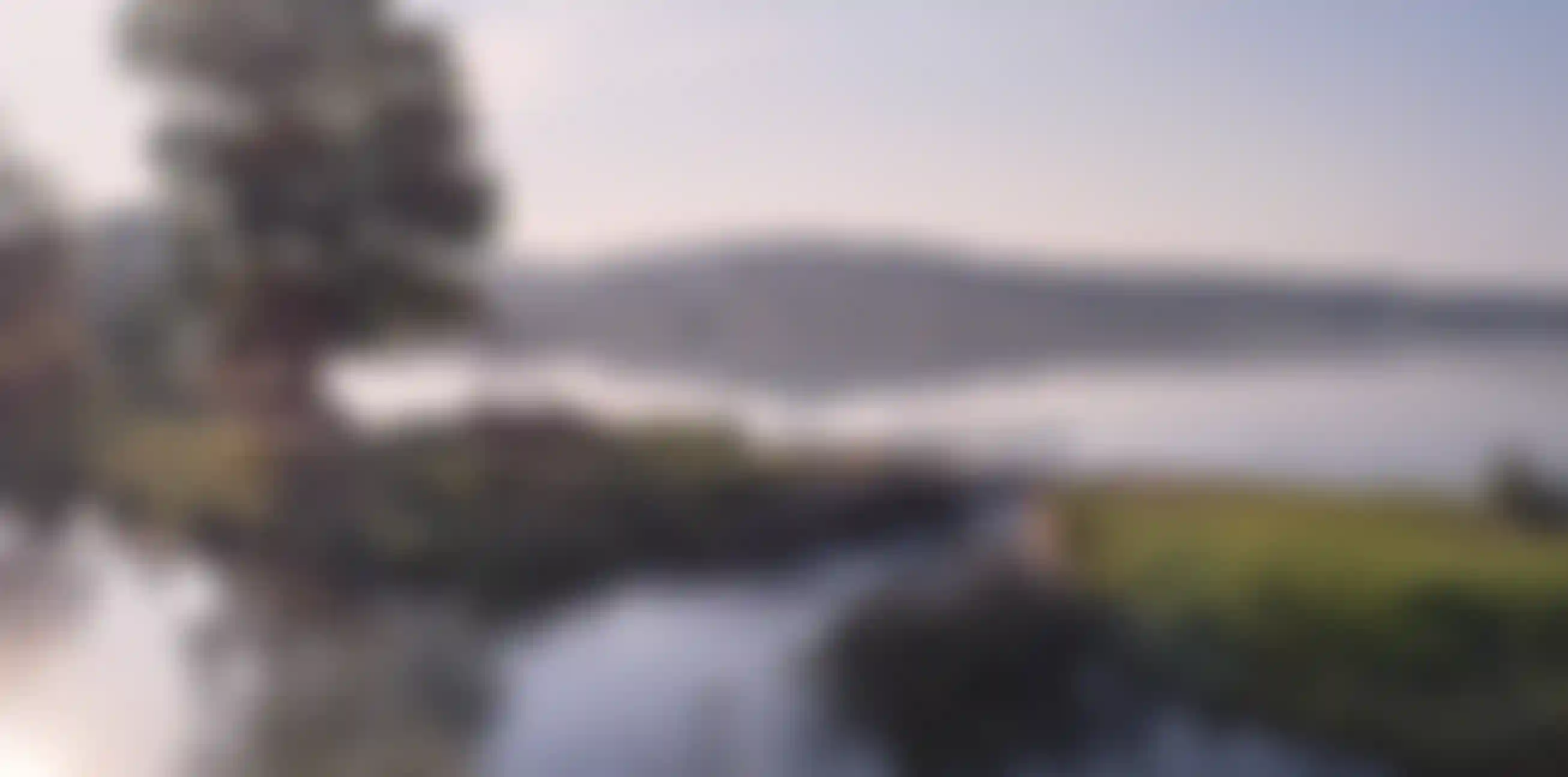 Экология  и природное окружение