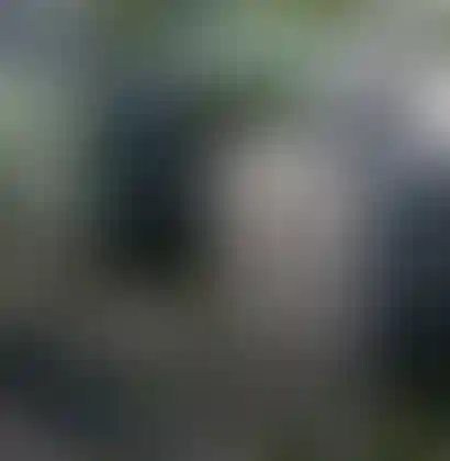 Расположение и транспорт