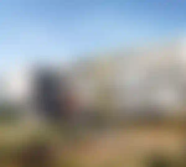 Школы и детские сады