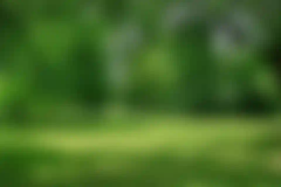 Экология и природное окружение