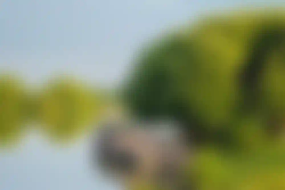 Экология и природное окружение