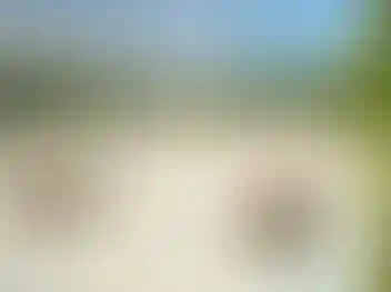 Природное окружение