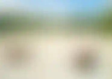 Природное окружение