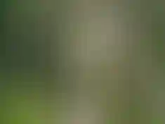 Природное окружение