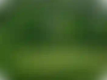 Природное окружение