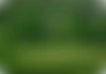 Природное окружение