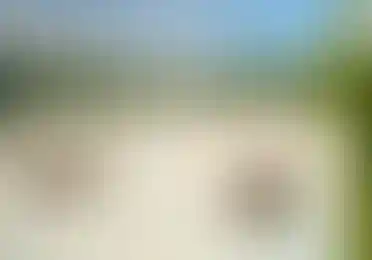 Природное окружение