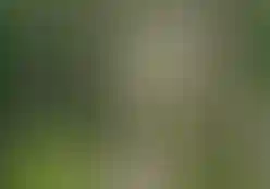 Природное окружение