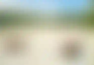 Природное окружение