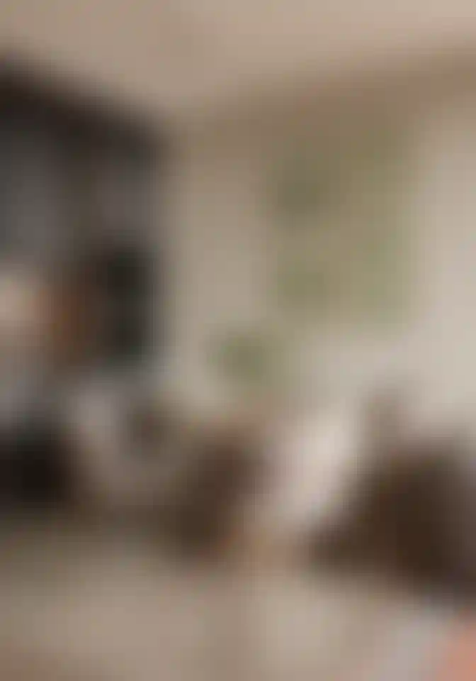 Слайд галереи